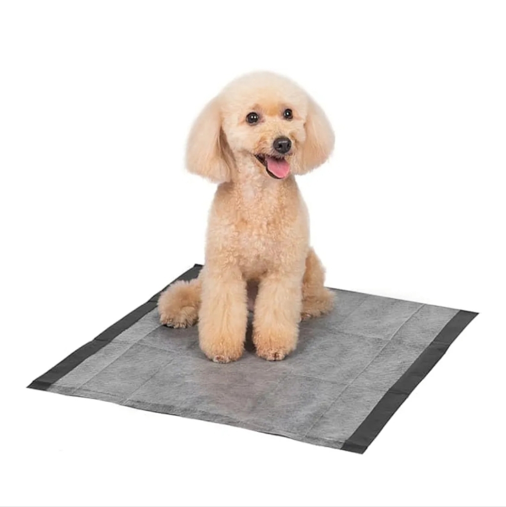 62 Pet Activated Carbon Training Pads/Pee Pads - Black - SIZE: 23X23 IN